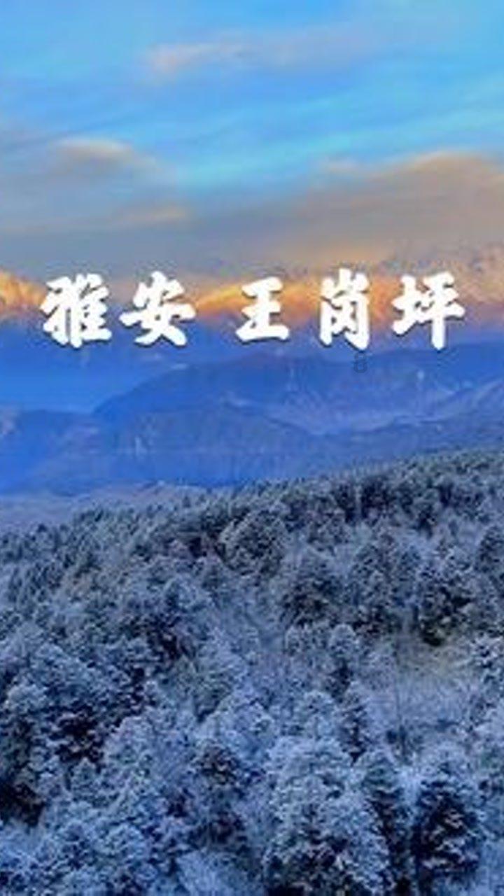 几分钟看懂医保新变化，最全最新解读在这里！2020年医保有哪些调整？游戏画面